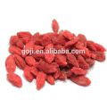 Mechanical Dried Goji Berry/goji berry in bulk package